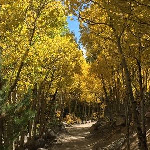 Meet your Posher, Marci